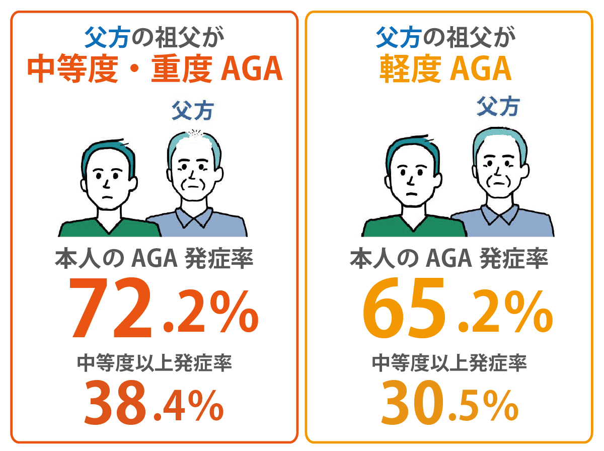 父方の祖父からのAGA遺伝率
