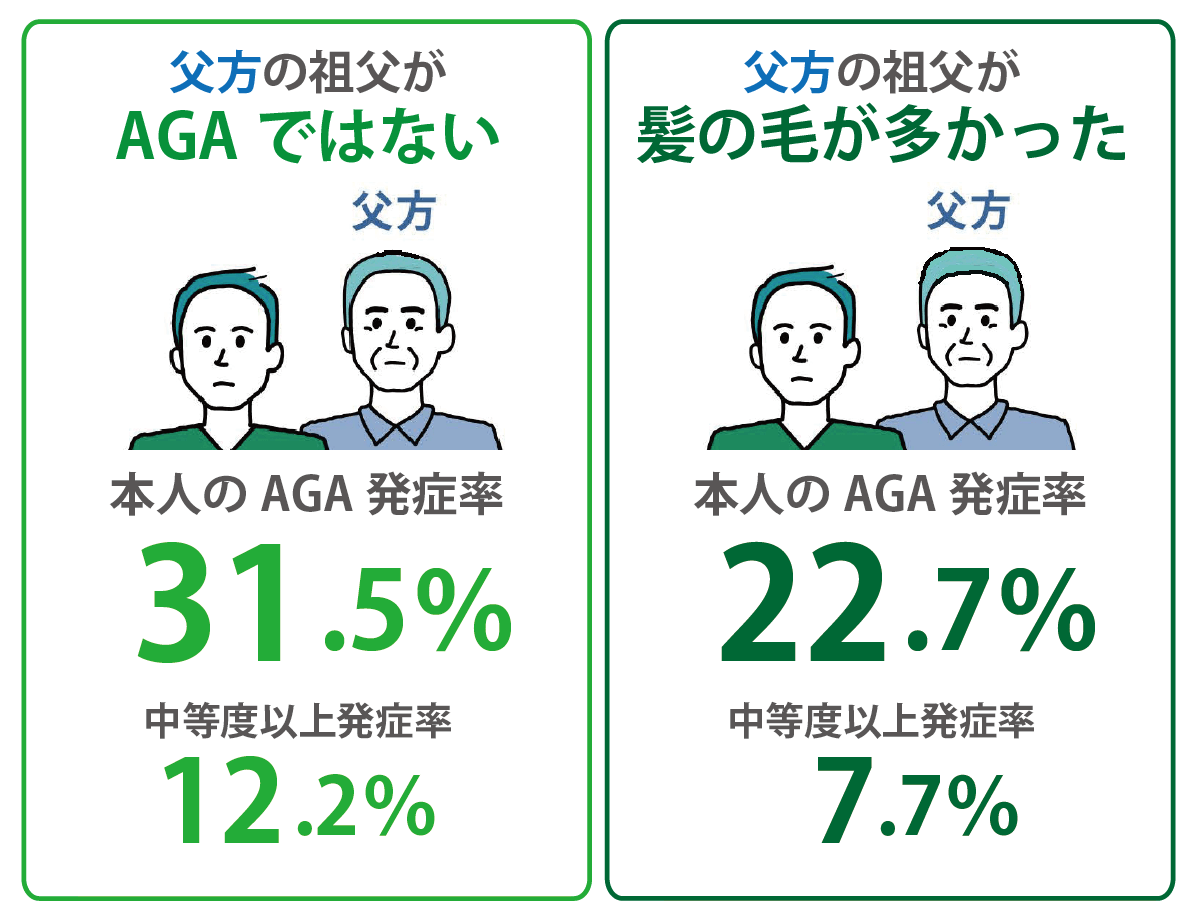 父方の祖父からのAGA遺伝率2