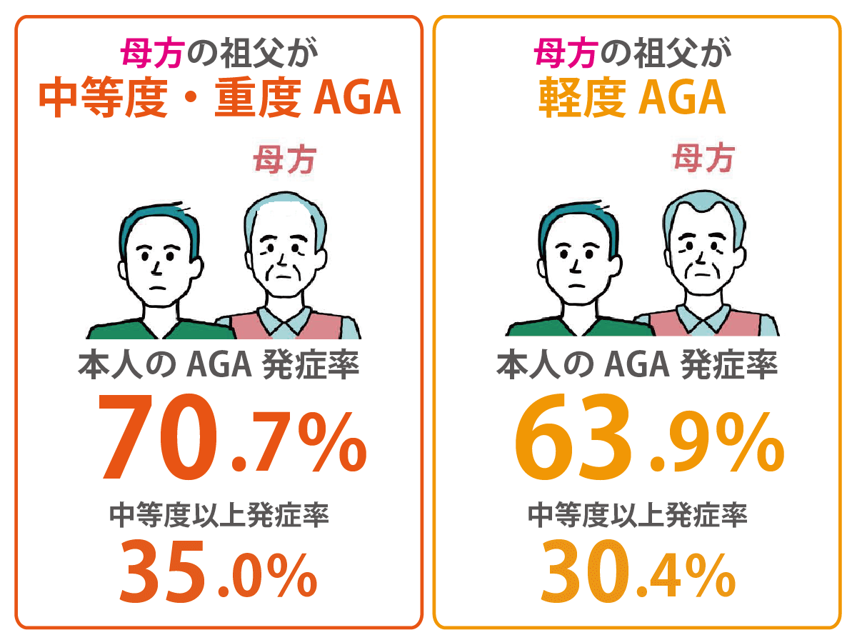 母方の祖父からのAGA遺伝率