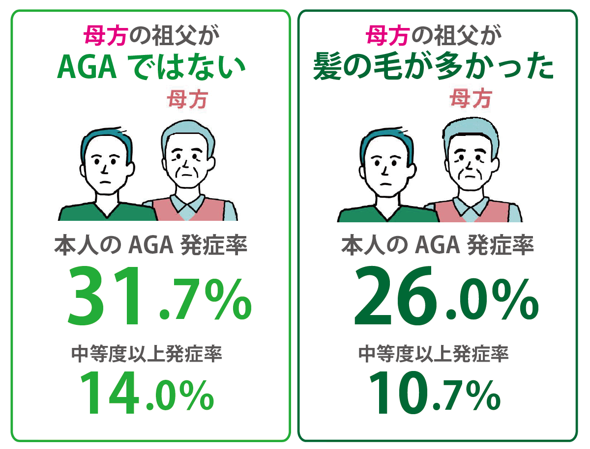 母方の祖父からのAGA遺伝率2