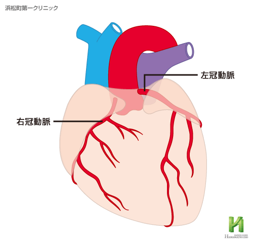 性腺機能低下症は勃起不全を引き起こしますか？