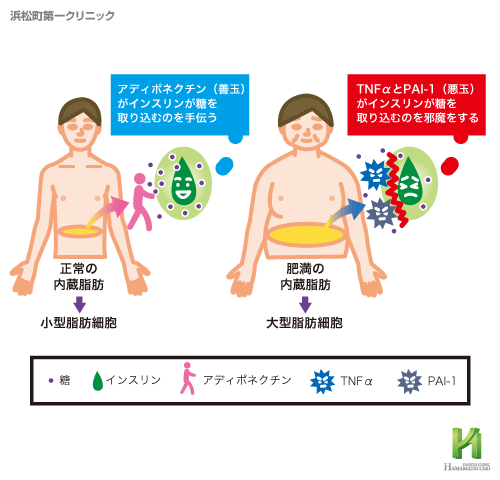 ereccion社会的な思春期の勃起不全