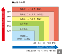 cms勃起不全