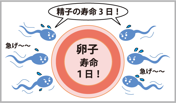 不妊とed 浜松町第一クリニック 不妊とed 浜松町第一クリニック