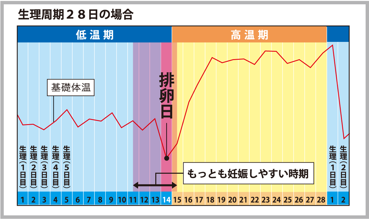 排卵 多い おり 日 もの