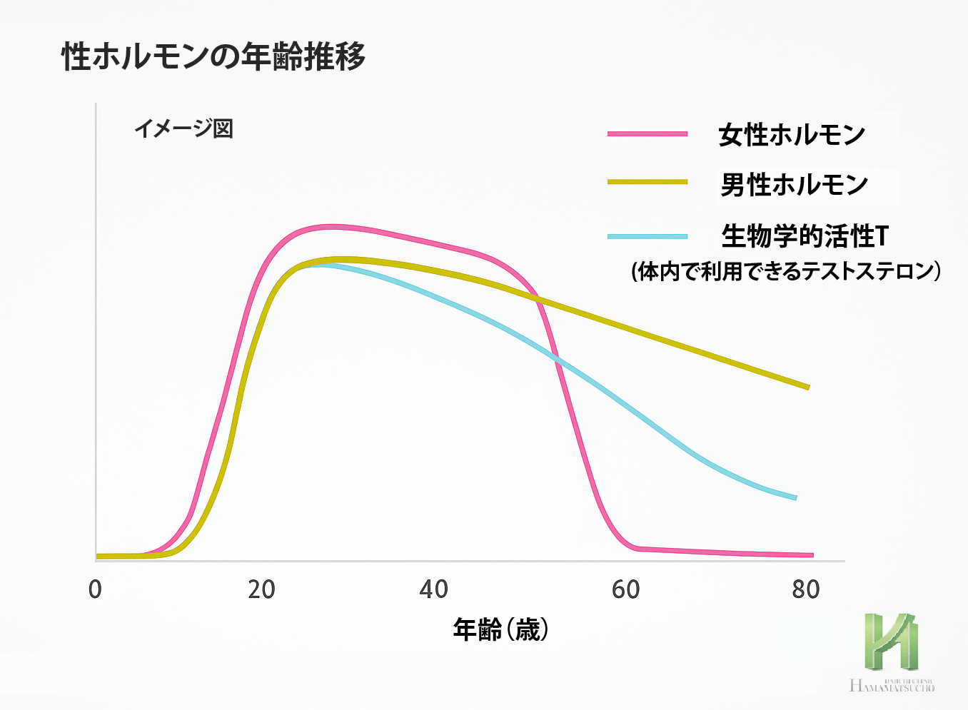 加齢と性ホルモンの変化