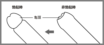 女装　包茎 性欲の研究 エロティック・アジア 井上章一／平凡社／ストリッパー／女装／美少年／オナニア／ソープランド／おっぱい／包茎／性器／猥談の落札情報詳細 -  Yahoo!オークション落札価格検索 オークフリー