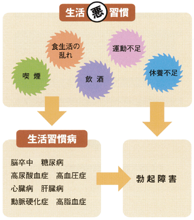 生活習慣病要因