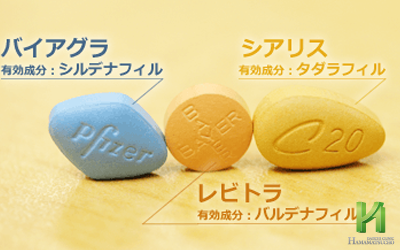 ED治療薬のメカニズム