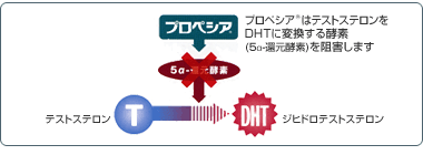 5α-還元酵素を阻害