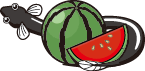 夏野菜
