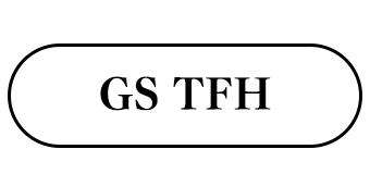 GS TFH